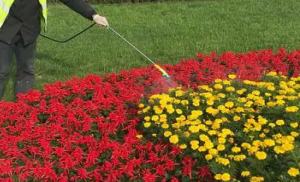 昆山工廠(chǎng)綠化養(yǎng)護(hù)淺談工廠(chǎng)綠化的特殊意義!